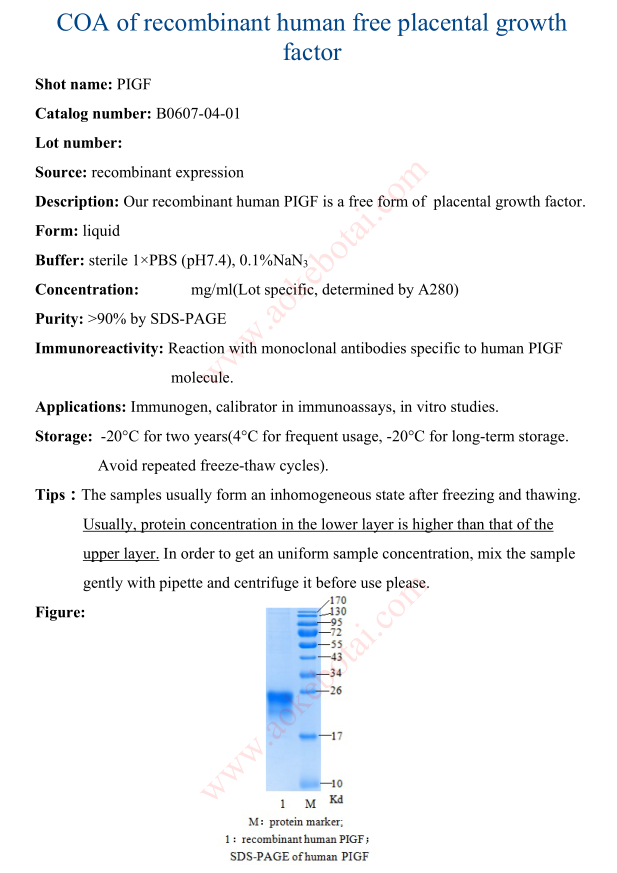 B0607-04-01.png