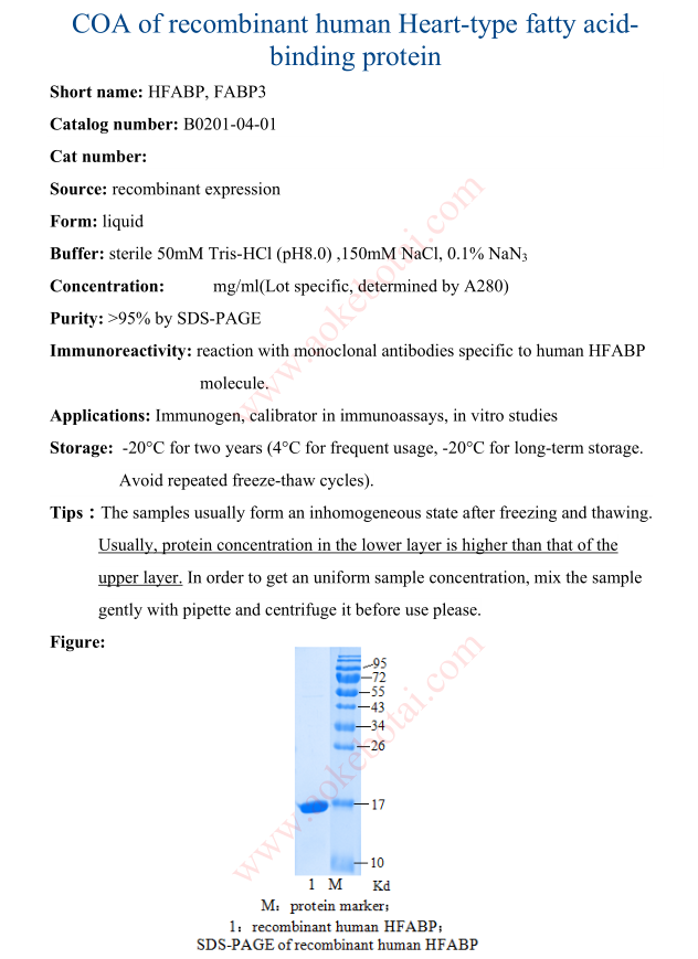 B0201-04-01.png