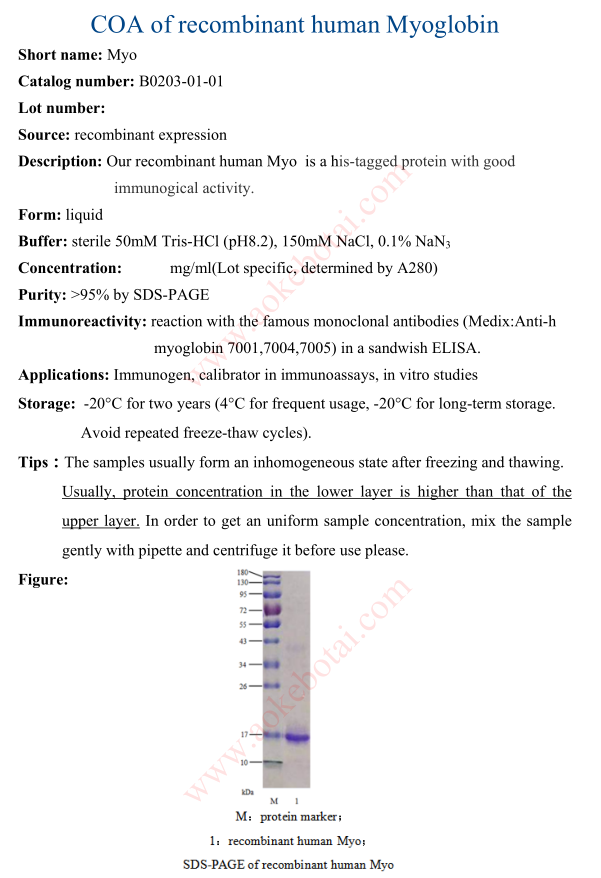 B0203-01-01.png