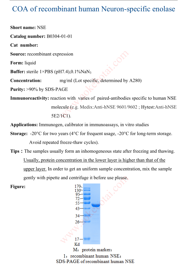 B0304-01-01.png